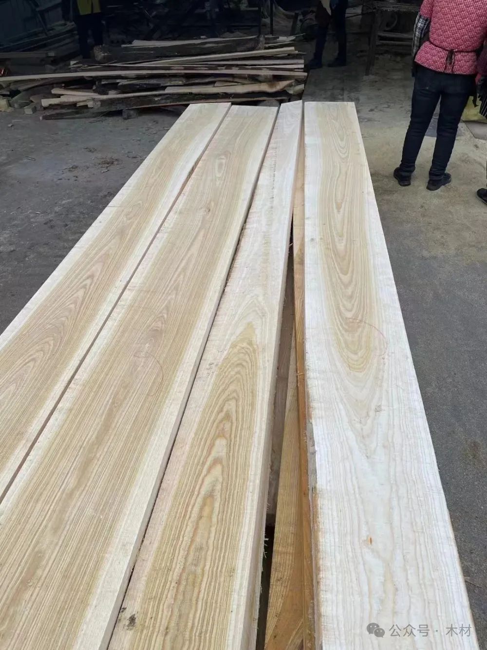 白椿木(國(guó)產(chǎn)白蠟?zāi)?屬于什么檔次的木材圖片 圖片