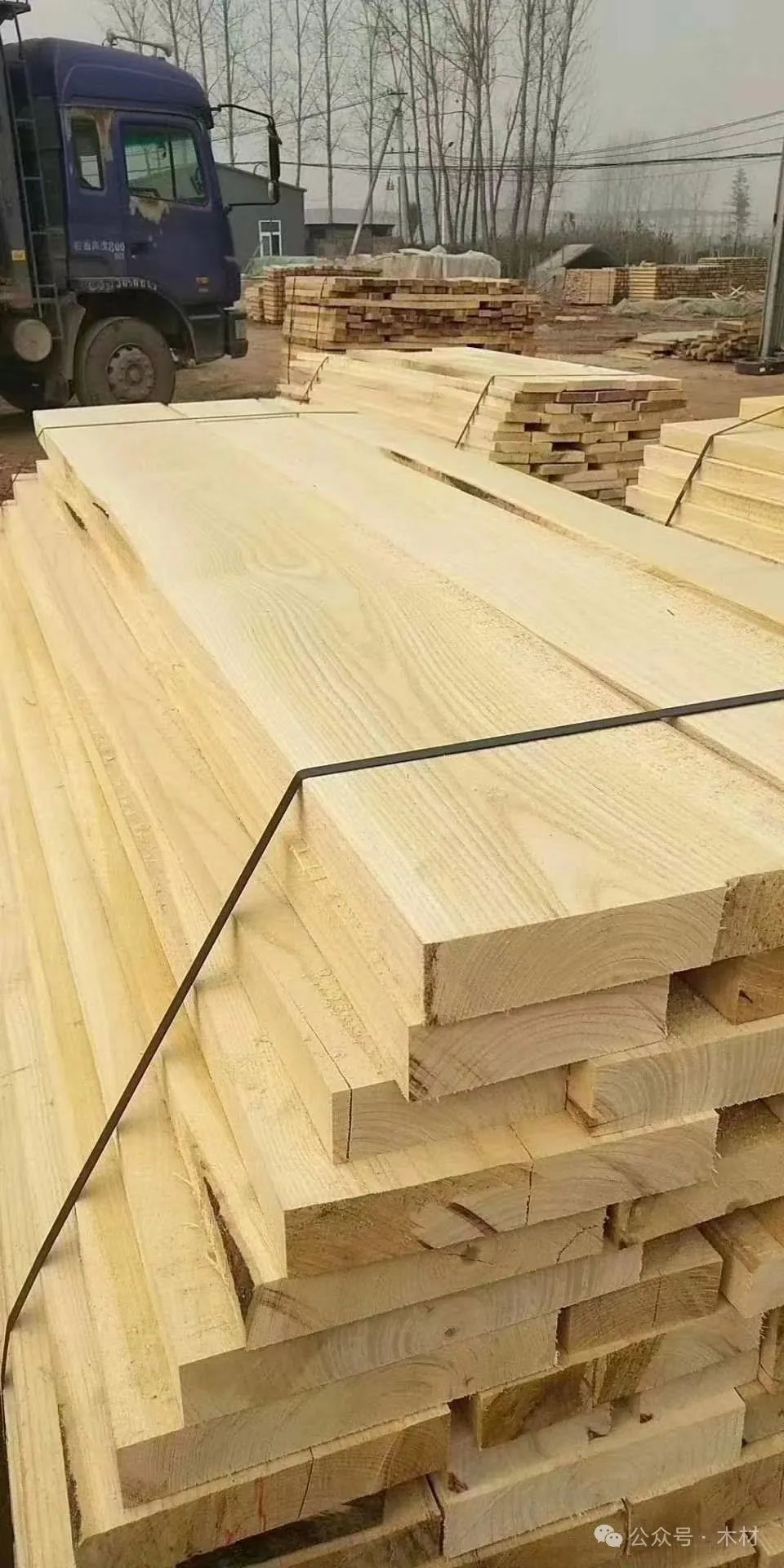 白椿木(國(guó)產(chǎn)白蠟?zāi)?屬于什么檔次的木材品牌 圖片