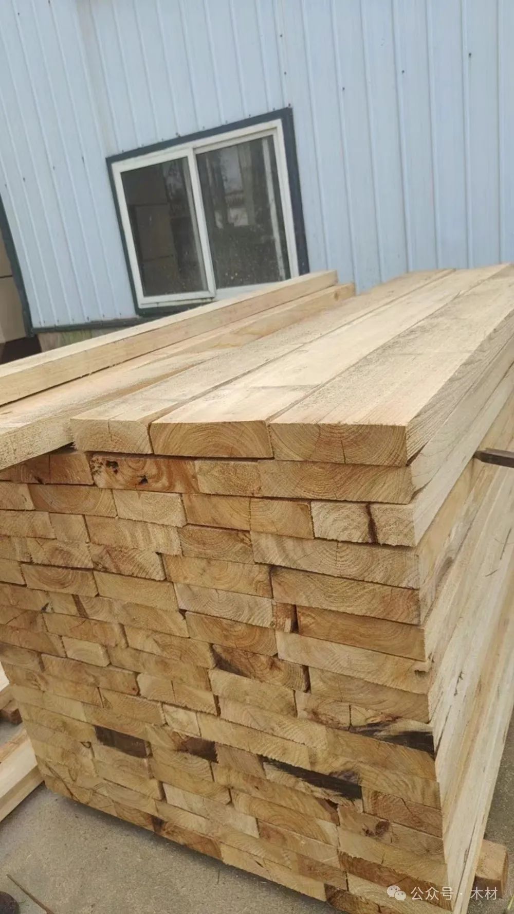 白椿木(國(guó)產(chǎn)白蠟?zāi)?屬于什么檔次的木材價(jià)格 圖片